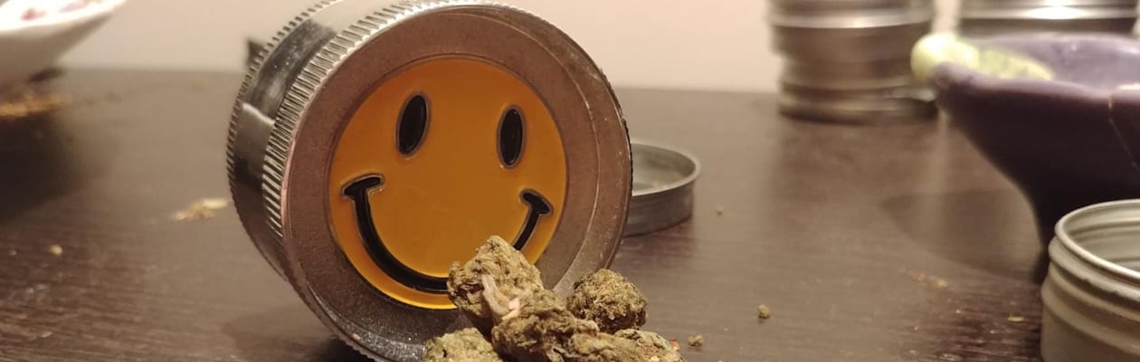 24418038 Le Grinder : Guide Complet pour Bien Choisir et Utiliser cet Accessoire Essentiel pour CBD