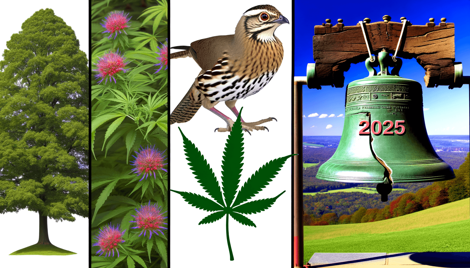 La Pennsylvanie face à un tournant historique : vers une dépénalisation du cannabis en 2025 ?